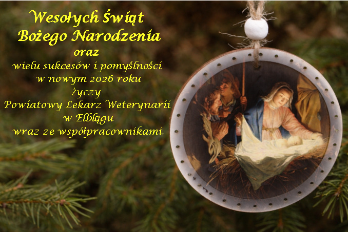 kartka2025 bozenarodzenie